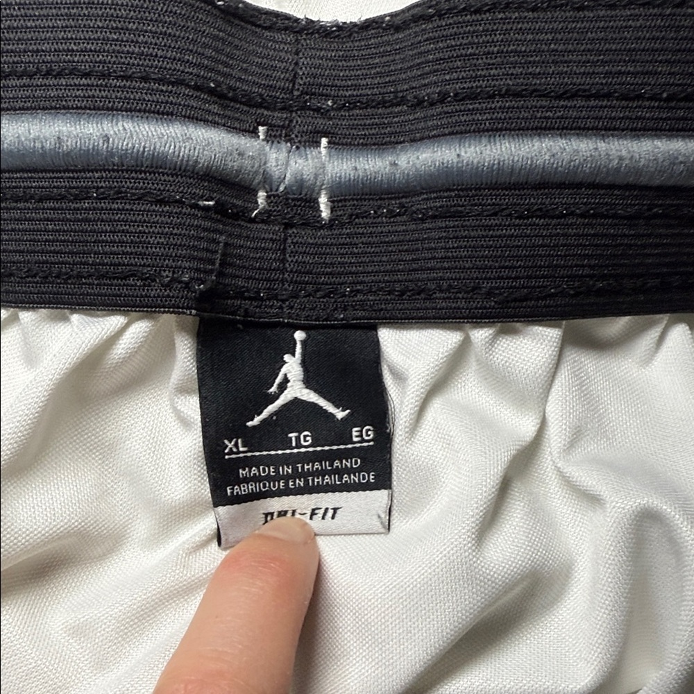 Jordan Mens Dri-Fit Shorts - Picture 6 of 6